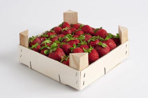 Erdbeeren – in Holz bestens verpackt