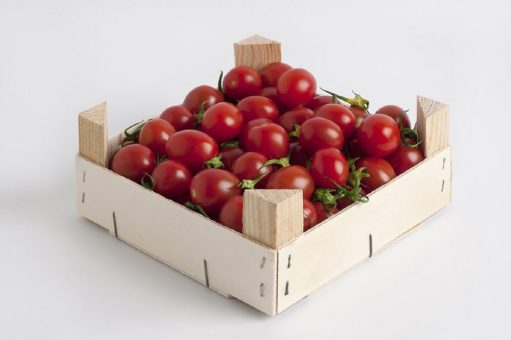 Durch den verstärkten Einsatz von Holzverpackungen nicht nur Gesundheit und Umwelt fördern