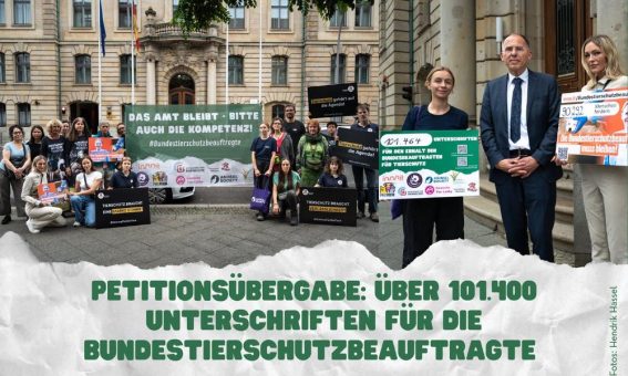 Erfolgreicher Protest für den Erhalt des Amts der Bundestierschutzbeauftragten – über 101.400 Unterschriften übergeben