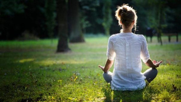 Natur wirkt – und wie! Warum Natur-Stressmanagement eine der wirksamsten Formen der Gesundheitsvorsorge ist