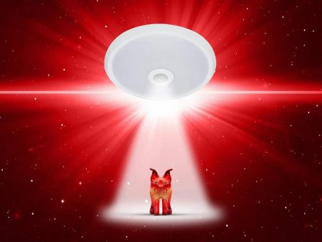 Das UFO ist gelandet!