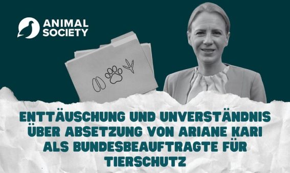 Enttäuschung und Unverständnis über Absetzung der Bundesbeauftragten für Tierschutz