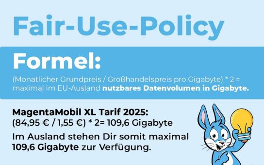 Immer mehr Datenvolumen zum Surfen im EU-Ausland [Handyhase-Infografik]
