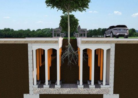 Freie Wurzelbildung unter Straßen mit Neu Elevator Wurzelschutz
