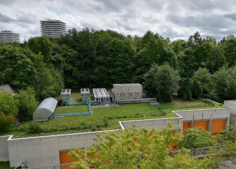 Biotop auf dem Hausdach