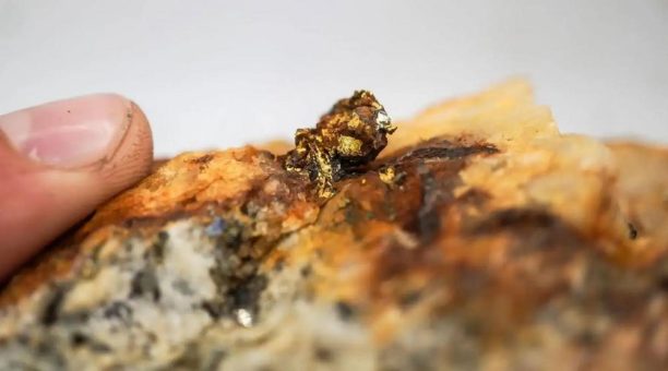 Analyst sieht erhebliches Aufwärtspotenzial für Goliath Resources