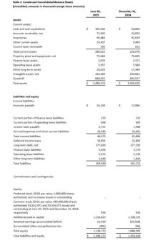 Loar Holdings Inc. gibt Rekordergebnisse für 2. Quartal 2025 bekannt, korrigiert Prognose für 2025 nach oben und gibt die Übernahme von Beadlight Ltd. bekannt