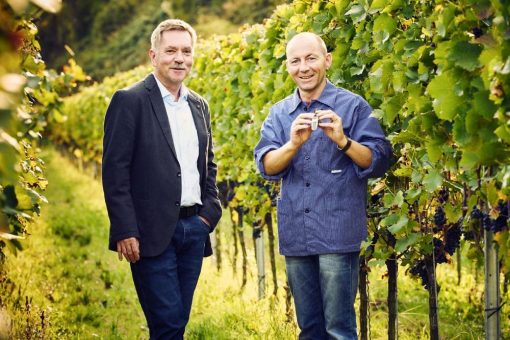 Wir leben & lieben die Baßgeige