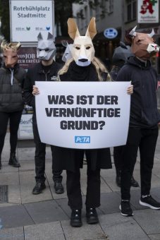 PETA zeigt Schlachthöfe an