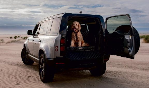 Sicherheit, die sitzt!