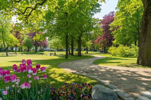 Sanierungsarbeiten am Tretbecken im Kurpark