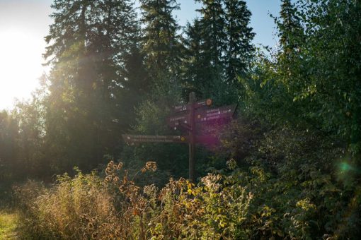 Afterwork-Wanderung „Abendstimmungen“