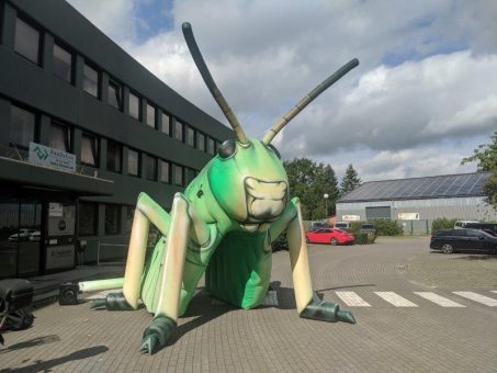 Aufblasbarer Einlauftunnel mit Airbrush