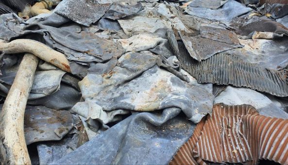 Entrümpelung und Ordnung mit der Schrottabholung Recklinghausen