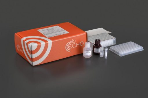 Neues EchoLUTION™ Zellkultur-RNA-Aufreinigungs-Kit von BioEcho bietet überragende Qualität und Geschwindigkeit für die akademische und biopharmazeutis