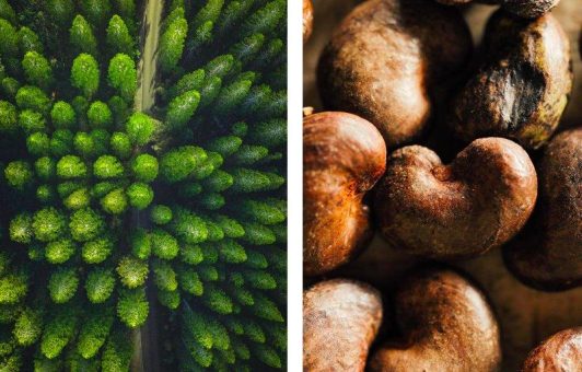 Neues Jahr, neuer Duft: Diese 6 Super-Scents erobern 2021 unsere Nasen