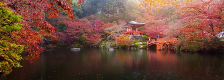Japan-Reisen 2026: Hohe Nachfrage nach exklusiven Boutique-Expeditionsschiffen