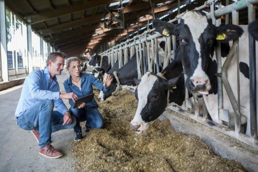 IQexpert: KI im Kuhstall