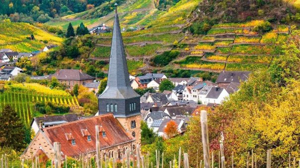 Aufruf: Eine Flasche deutschen Wein mehr pro Jahr kaufen
