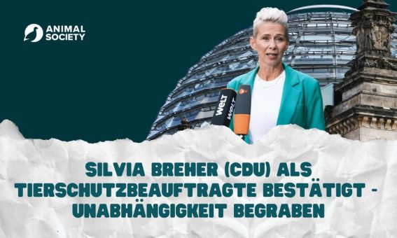 Bundeskabinett bestätigt Silvia Breher als Tierschutzbeauftragte: Unabhängigkeit des Amtes wird begraben
