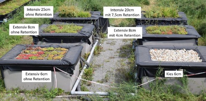 Energieeinsparpotenzial von Gründächern ermittelt