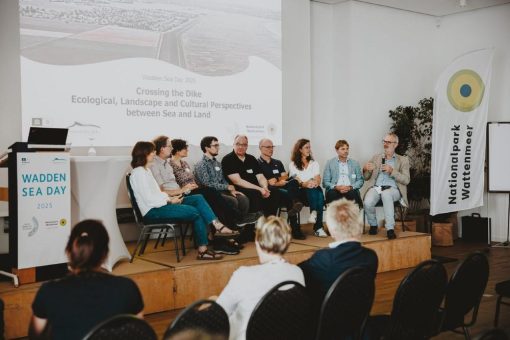 Wattenmeertag 2025: Über den Deich hinaus