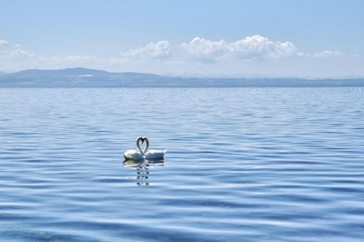 Bodensee erneut beliebtester See in Deutschland