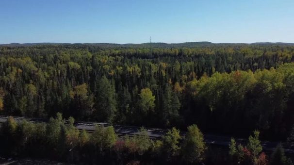 Goldpreis tendiert nach oben, ebenso die Nachfrage