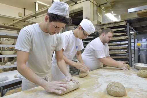 Handwerk bietet sehr gute Job-Perspektiven