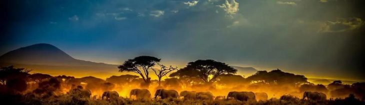 Lake Victoria Gold: Frisches Kapital soll schnelle Projektfortschritte ermöglichen