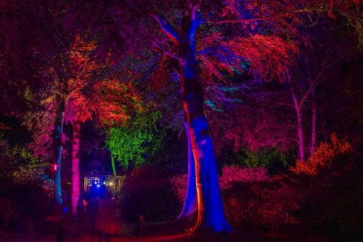 Magische Lichtwelten im Rhododendronpark Graal-Müritz
