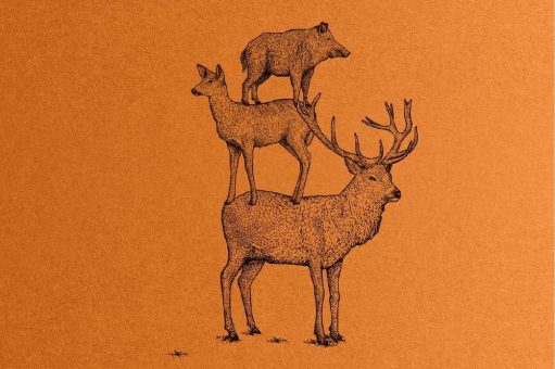 WildeWochen am Westlichen Bodensee