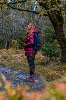 Afterwork-Wanderung – Abschlusstour des Jahres 2025