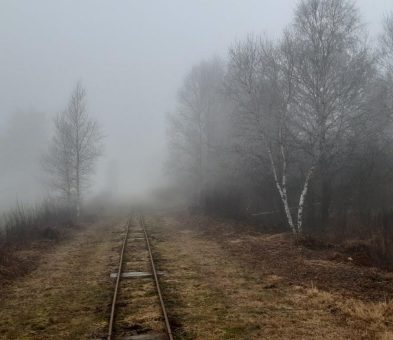 Land Hadeln: Es wird herbstlich im Ahlenmoor