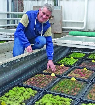 Bad Zwischenahn: Exklusive Moorführungen in Bad Zwischenahn