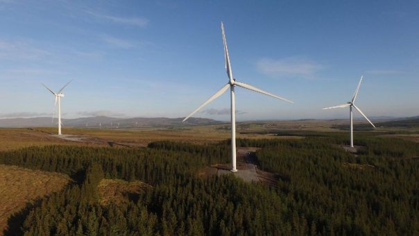 ABO Energy erwägt, eigene Energieparks zu betreiben