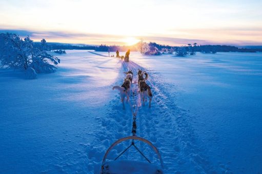 Winterzauber in Finnland – neue trendtours Erlebnisreise