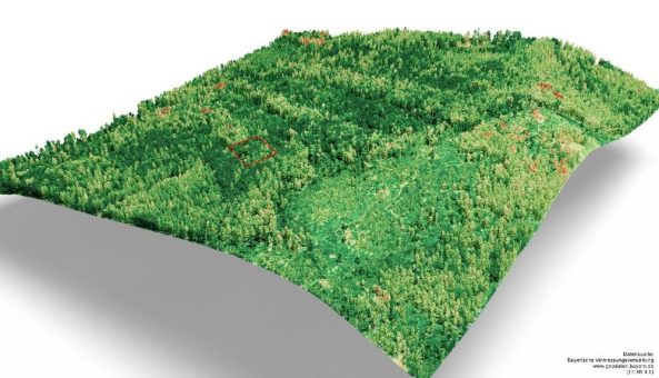 Was in unserem Waldschutzprojekt am Mühlriegel passiert: Hightech trifft Natur