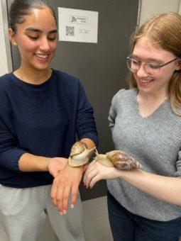 Über Demokratie philosophiert