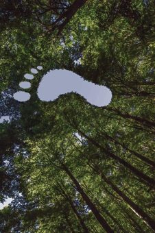 Karton als Motor einer resilienten europäischen Kreislaufwirtschaft