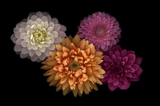 Offen sein für Neues – Junge Kunst entdecken auf der ARTMUC Kunstmesse