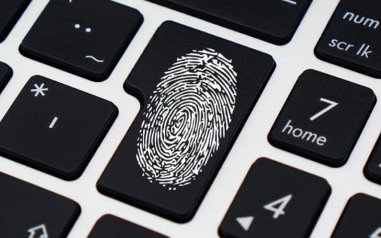 Datenschutz & Hosting made in Germany: Warum wir viel Wert darauf setzen