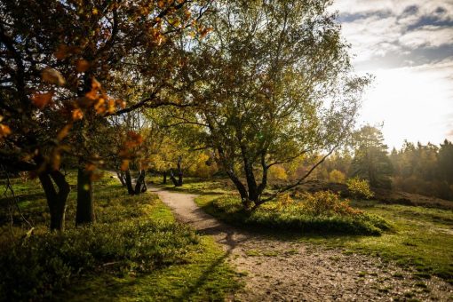 Holstein im Herbst – Farben, Weite und kleine Auszeiten