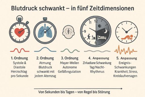 Blutdruckschwankungen – warum Google und Co. die falschen Geschichten erzählen