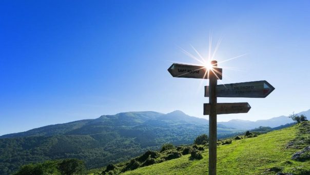 Vorbereitung ist die halbe Miete:  SAP-Datenarchivierung bei der Migration zu SAP® RISE und SAP® S/4HANA