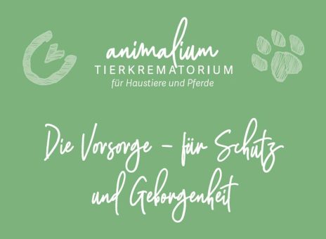 Vorsorge für Tierhalterinnen und Tierhalter – Sicherheit, wenn der Abschied kommt