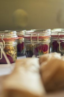 Natur- und Wildwoche im Ostseeheilbad Graal-Müritz