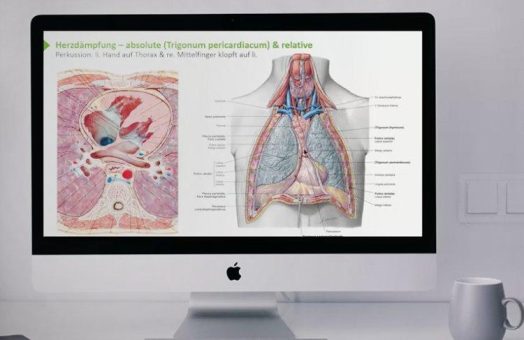 Lecturio erweitert und aktualisiert E-Learning Angebot für Mediziner