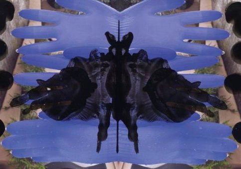 „RE-think Rorschach“