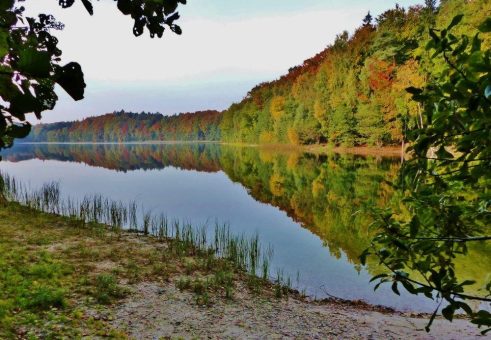 Wird das Grundwasser im Herzogtum Lauenburg knapp?